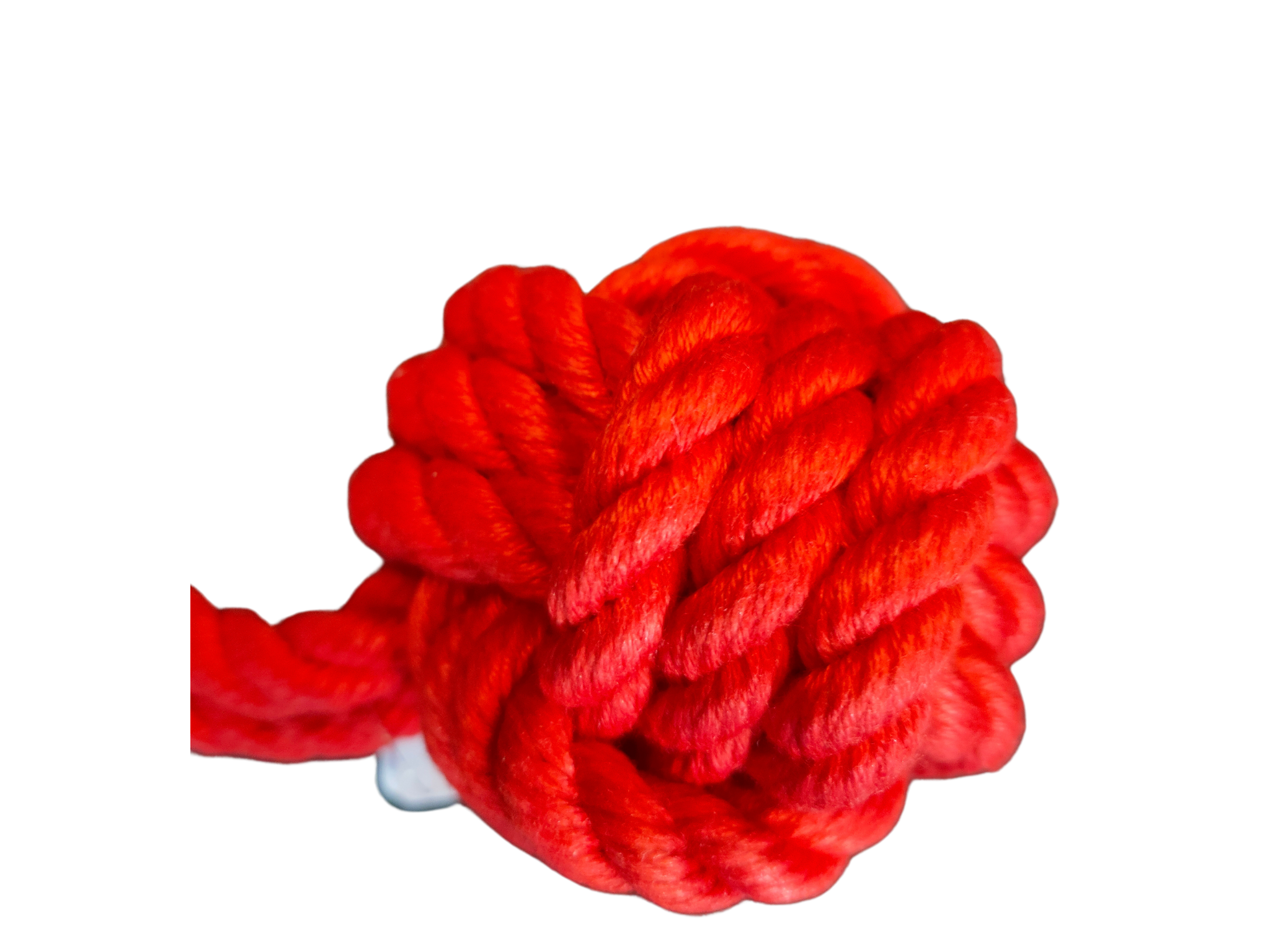 Rope Knot Training Toy
